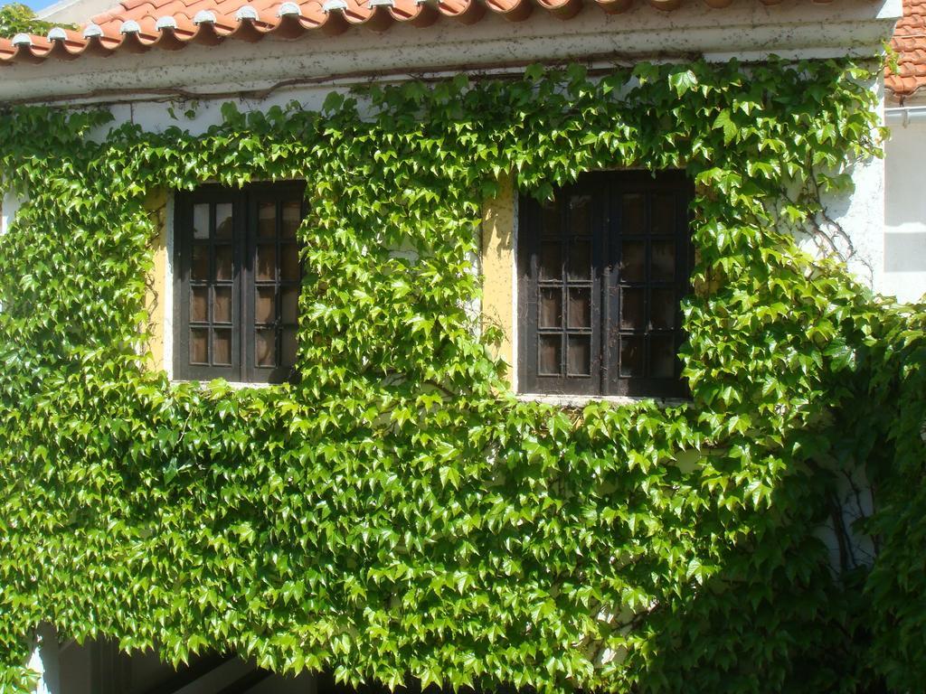 Rio NaturAL Ex Casa da Vila Vila Nova de Milfontes Esterno foto
